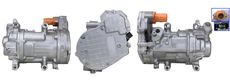 LUCAS ACP01666