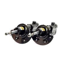 Arnott Europe SK-2189