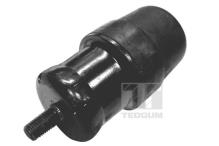 TEDGUM 00393820