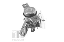 TEDGUM TED13922