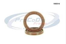 PROCODIS FRANCE KBE018