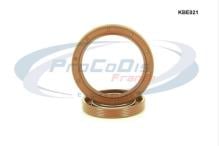 PROCODIS FRANCE KBE021