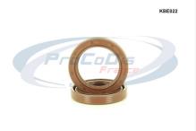 PROCODIS FRANCE KBE022