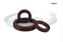 PROCODIS FRANCE KBE031
