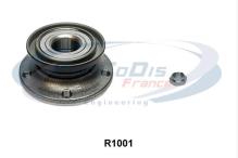 PROCODIS FRANCE R1001