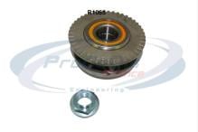 PROCODIS FRANCE R1065