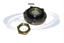 PROCODIS FRANCE R2036