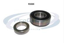 PROCODIS FRANCE R3095