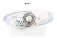 PROCODIS FRANCE R4003