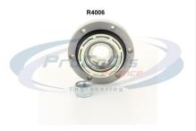 PROCODIS FRANCE R4006