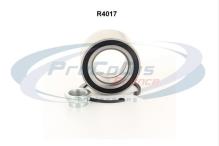 PROCODIS FRANCE R4017