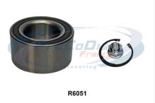PROCODIS FRANCE R6051