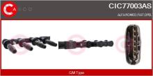 CASCO SRL CIC77003AS