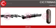 CASCO SRL CIC77009AS