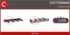 CASCO SRL CIC77028AS