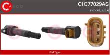 CASCO SRL CIC77029AS