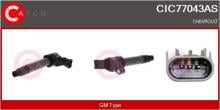 CASCO SRL CIC77043AS