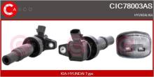 CASCO SRL CIC78003AS