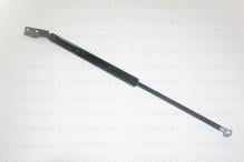 FERRON 1361R