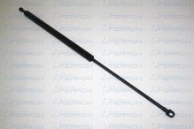 FERRON 17