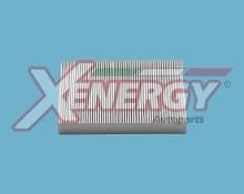 XENERGY X10110