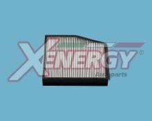 XENERGY X10111
