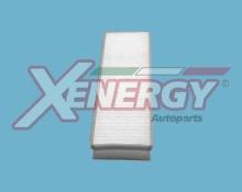 XENERGY X10211
