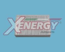 XENERGY X10221
