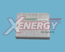 XENERGY X10224