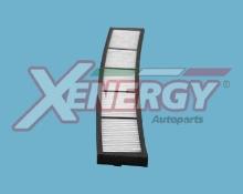 XENERGY X10229