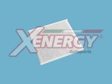 XENERGY X10313