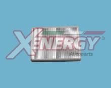 XENERGY X10609