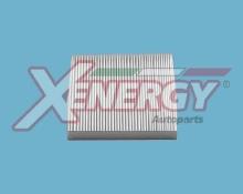 XENERGY X10613