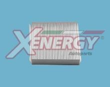 XENERGY X10639