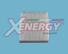 XENERGY X10665