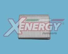 XENERGY X10689