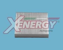 XENERGY X10694