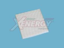 XENERGY X10702