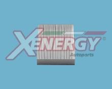XENERGY X10703