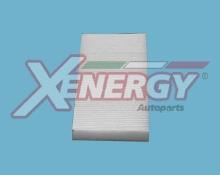 XENERGY X10704