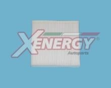 XENERGY X10732