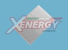 XENERGY X10770