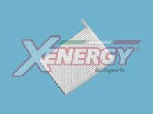 XENERGY X10780