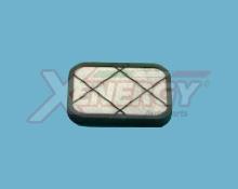 XENERGY X11365