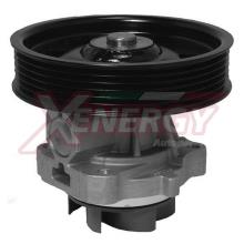 XENERGY X204032