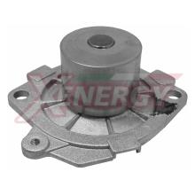 XENERGY X204172