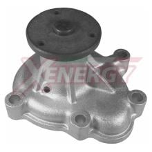 XENERGY X204202