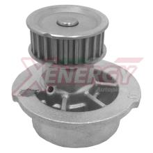 XENERGY X204650