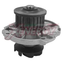 XENERGY X204762