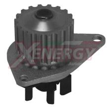 XENERGY X206272
